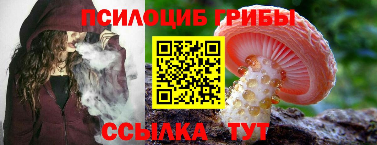 Ахтубинск  Галлюциногенные грибы Magic Shrooms  купить наркоту  Вход с VPN 